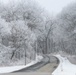 Fort McCoy Winter Rime Ice