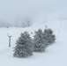 Fort McCoy Winter Rime Ice