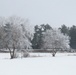 Fort McCoy Winter Rime Ice