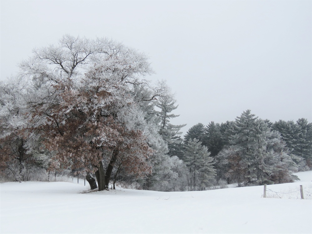 Fort McCoy Winter Rime Ice