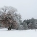 Fort McCoy Winter Rime Ice