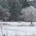 Fort McCoy Winter Rime Ice