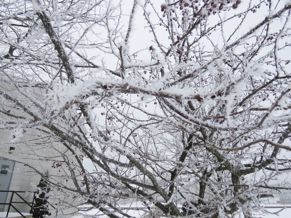 Fort McCoy Winter Rime Ice