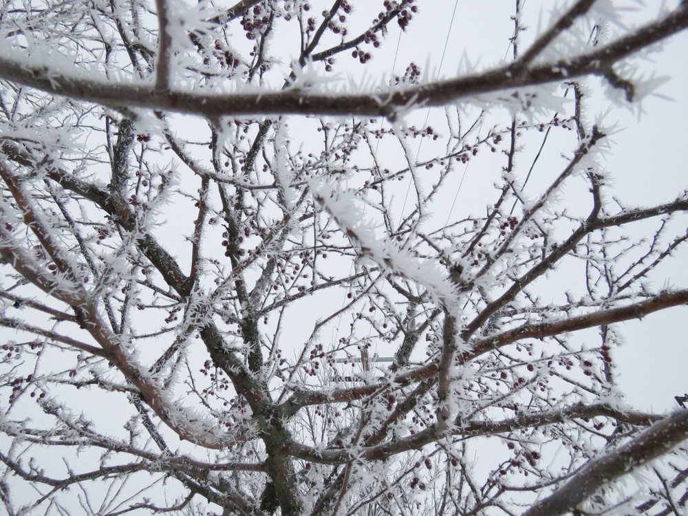 Fort McCoy Winter Rime Ice