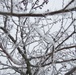 Fort McCoy Winter Rime Ice