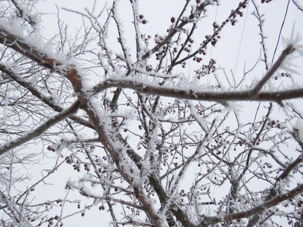 Fort McCoy Winter Rime Ice