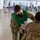 MacDill COVID-19 Vaccinations