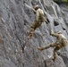 NWTC courses teach the ropes of military mountaineering
