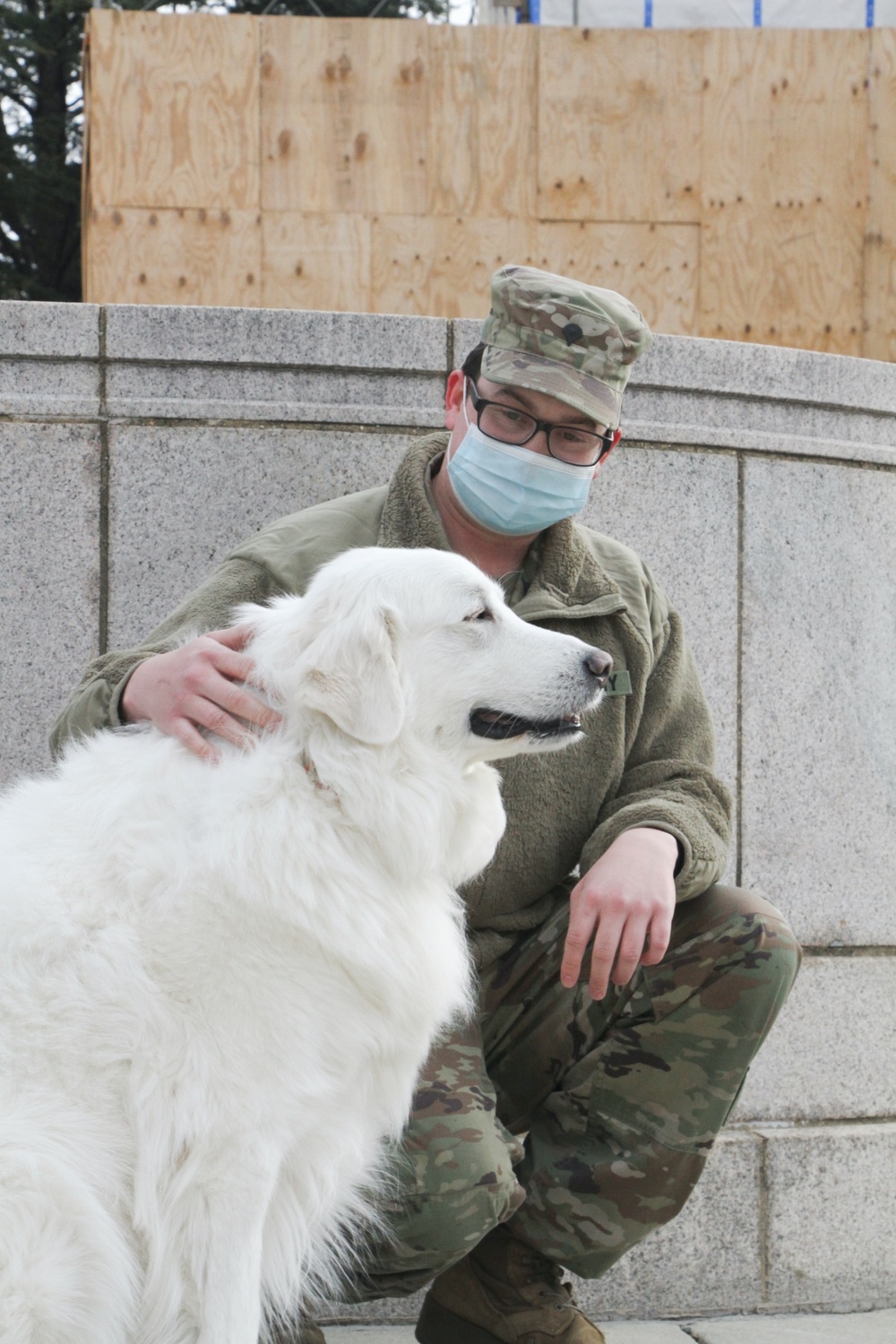 Virginia Soldiers, Airmen stand guard in nation's capital