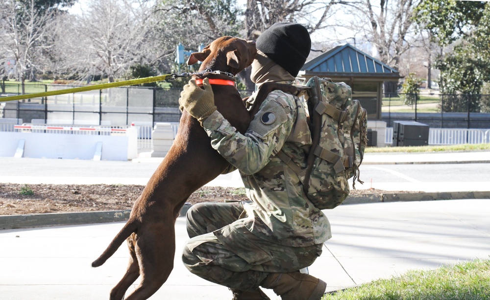 Virginia Soldiers, Airmen stand guard in nation's capital