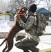 Virginia Soldiers, Airmen stand guard in nation's capital
