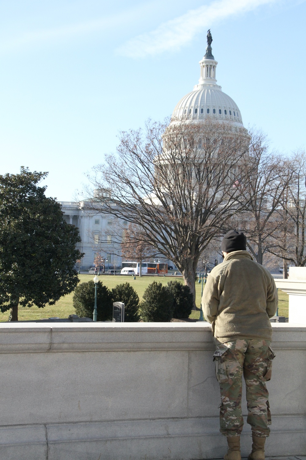 Virginia Soldiers, Airmen stand guard in nation's capital