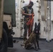 15th MEU Marines, military working dogs conduct detection, take down training aboard USS Somerset