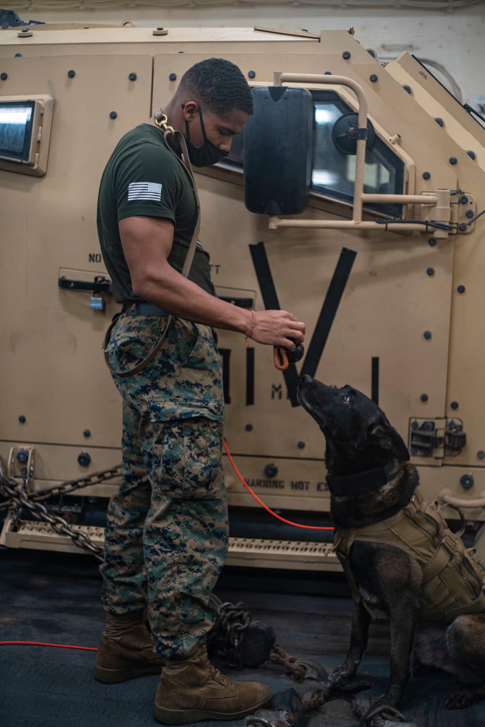 15th MEU Marines, military working dogs conduct detection, take down training aboard USS Somerset