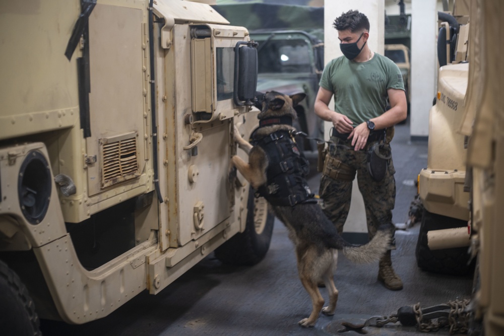 15th MEU Marines, military working dogs conduct detection, take down training aboard USS Somerset