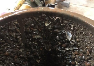 U.S. Army Corps of Engineers moves to eradicate invasive species