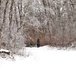 Fort McCoy CWOC class 21-02 students train using snowshoes, ahkio sleds