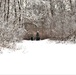Fort McCoy CWOC class 21-02 students train using snowshoes, ahkio sleds