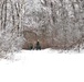 Fort McCoy CWOC class 21-02 students train using snowshoes, ahkio sleds