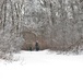 Fort McCoy CWOC class 21-02 students train using snowshoes, ahkio sleds