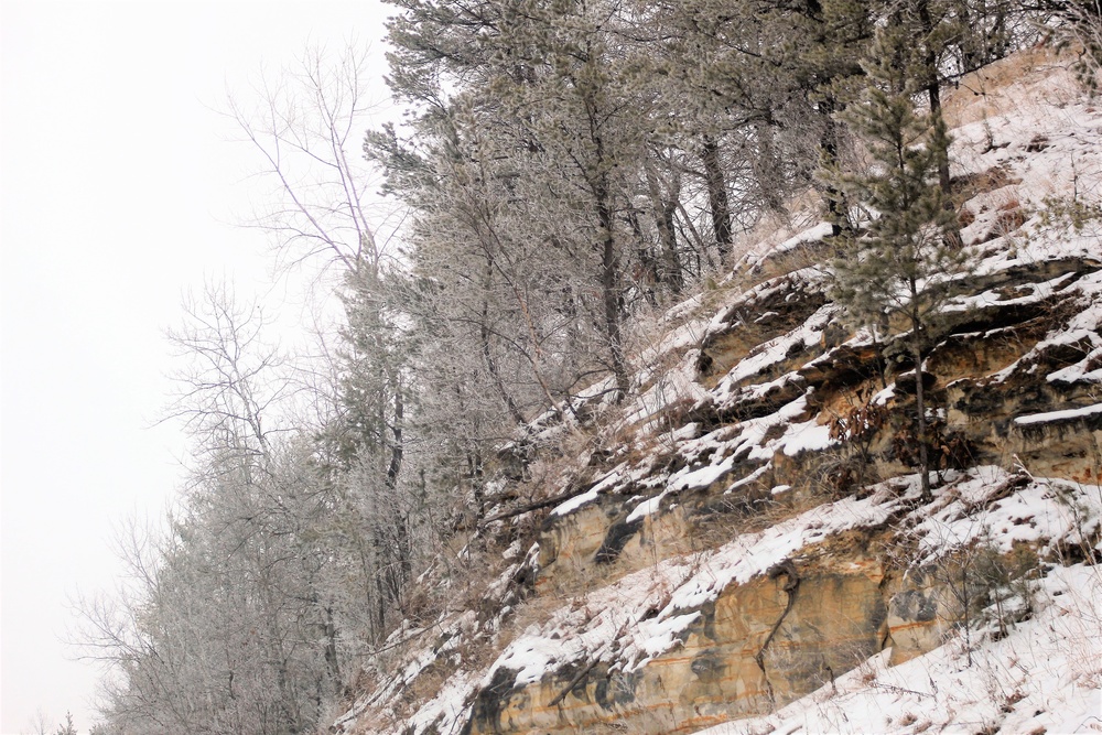 Rime ice forms at Fort McCoy in early January 2021