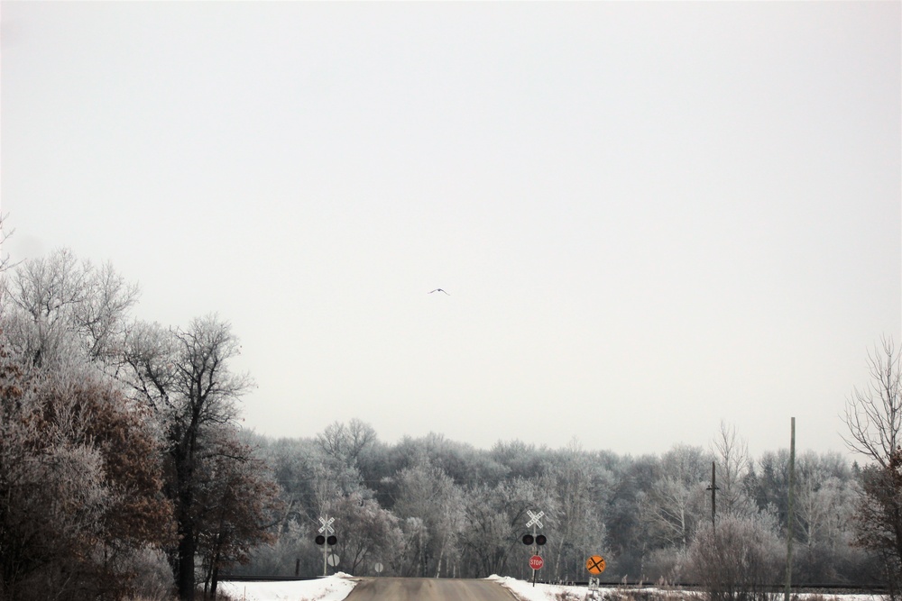 Rime ice forms at Fort McCoy in early January 2021