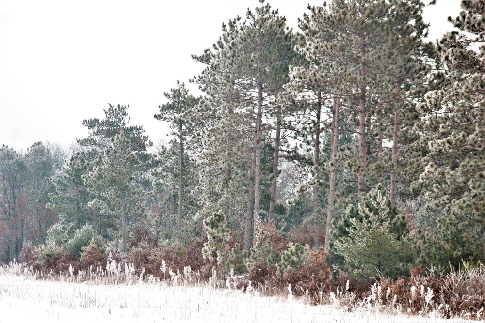 Rime ice forms at Fort McCoy in early January 2021