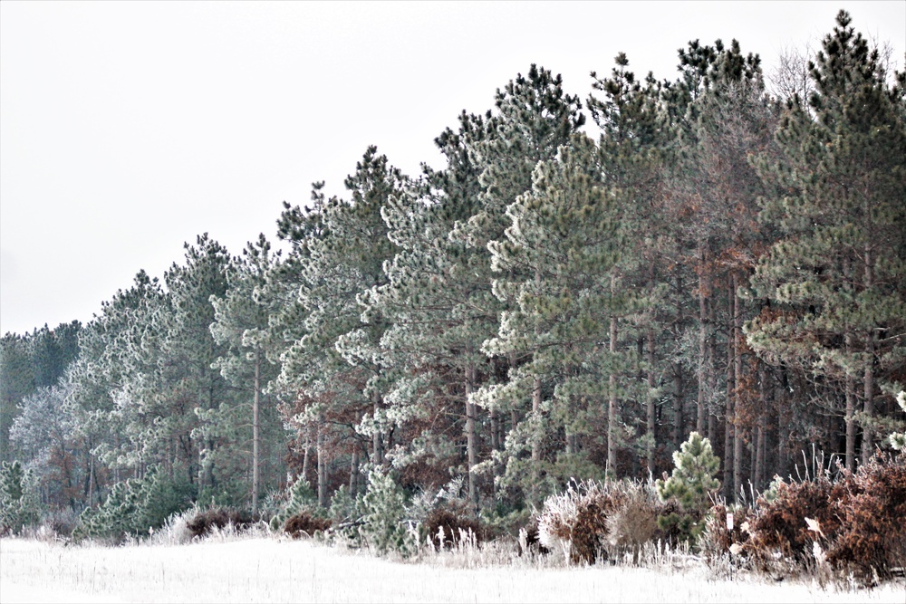 Rime ice forms at Fort McCoy in early January 2021