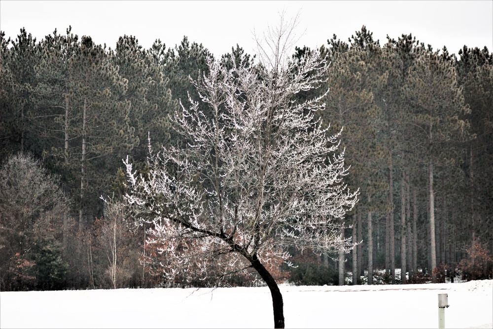 Rime ice forms at Fort McCoy in early January 2021