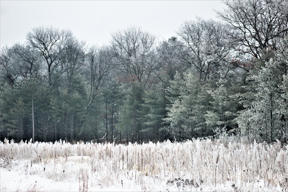 Rime ice forms at Fort McCoy in early January 2021
