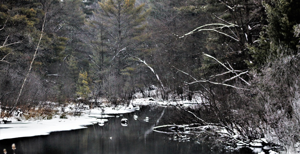 Rime ice forms at Fort McCoy in early January 2021
