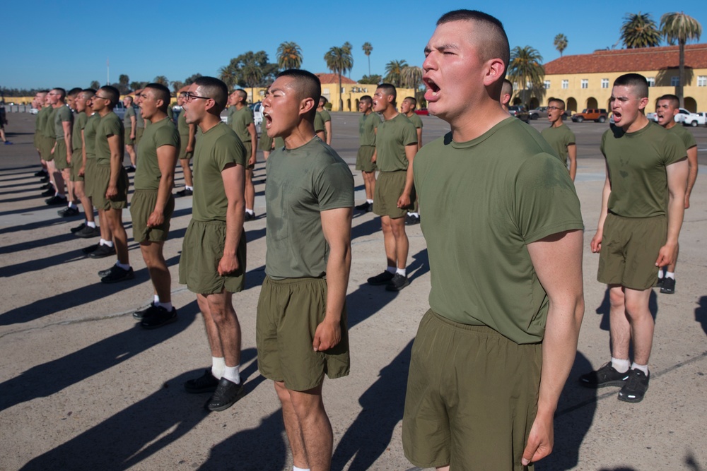 Fox Company Motivational Run