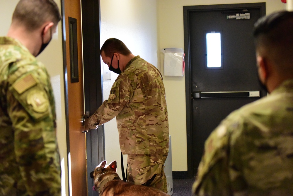 MWD Kay reports for detection duty