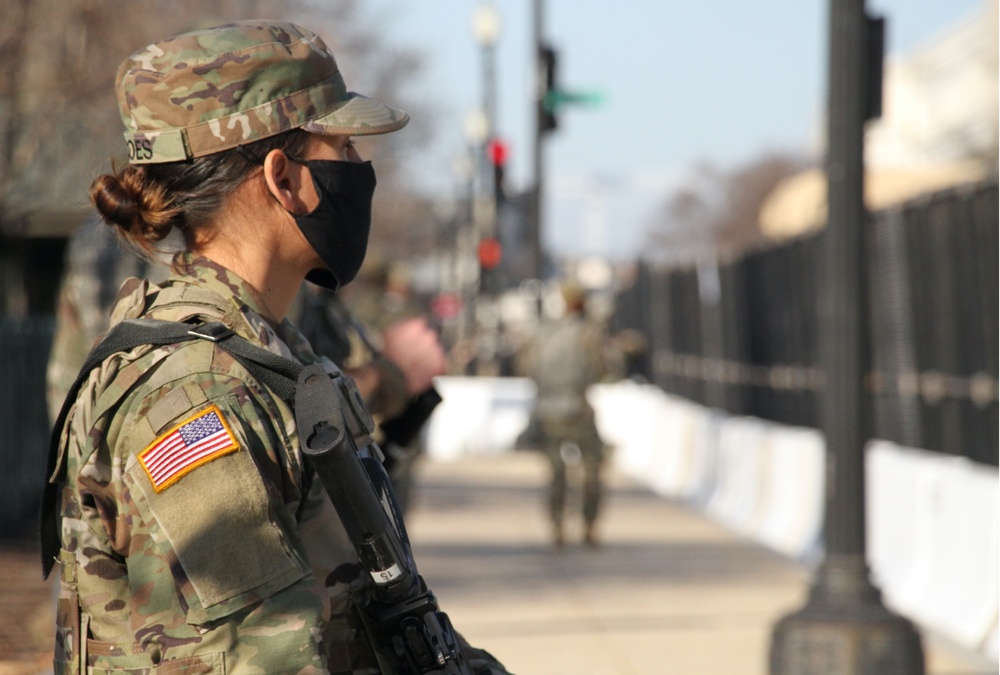 VNG Soldiers standing guard in Washington, D.C.
