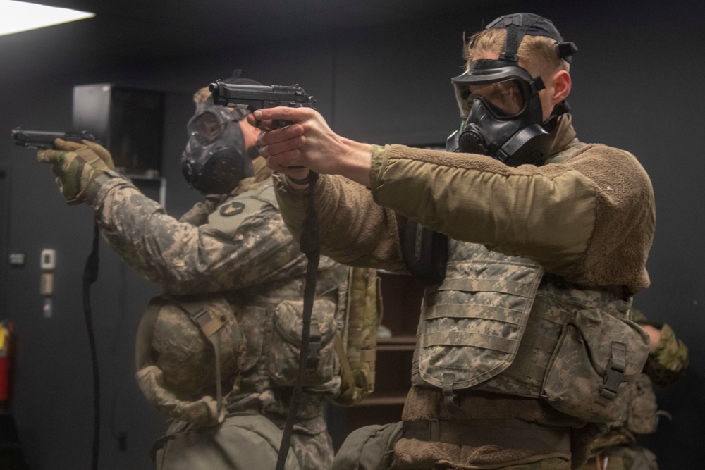 Minnesota Guardsmen provide support to 59th Presidential Inauguration
