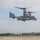 Anywhere, Anytime, 2nd MEB conducts Initial Response Team Exercise Anywhere, Anytime, 2nd MEB conducts Initial Response Team Exercise