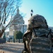 National Guard Supports 59th Presidential Inauguration