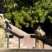 Utah National Guard supports 59th Presidential Inauguration