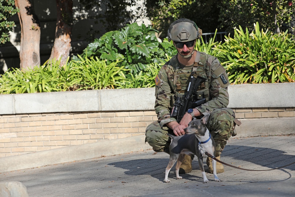 Cal Guard security forces at California state Capitol