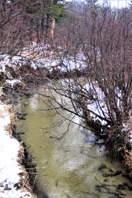 2021 early catch-and-release trout season now open in Wisconsin, Fort McCoy