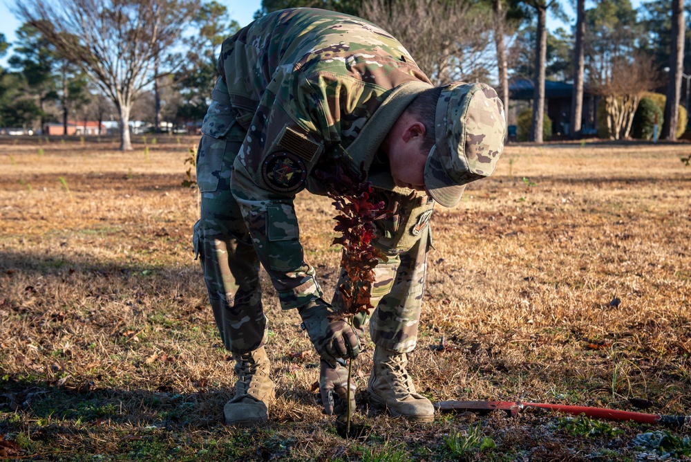 4th CES Plants Trees at SJAFB