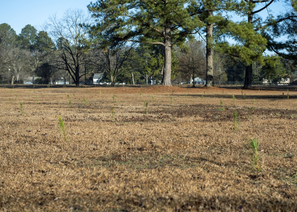 4th CES Plants Trees at SJAFB