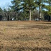 4th CES Plants Trees at SJAFB