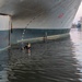 Navy Divers Conduct ATFP Training