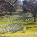 Presidential Salute Battery in ANC