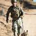 Military Working Dog Training