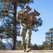 Military Working Dog Training