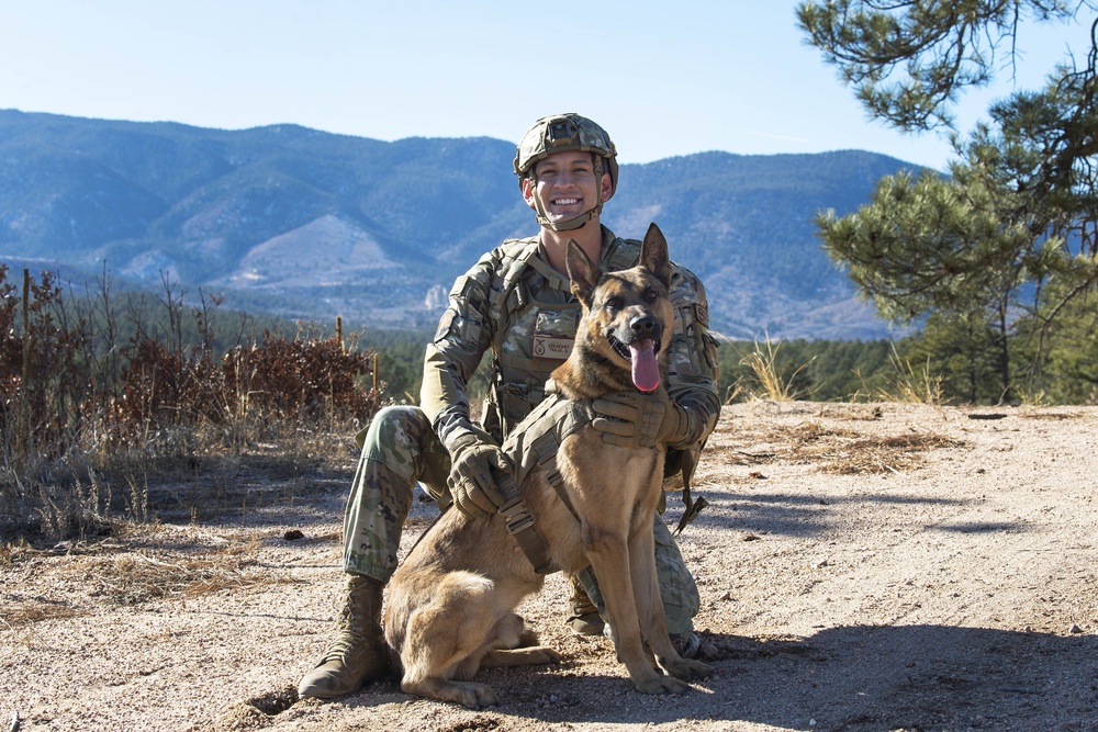 Military Working Dog Training