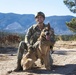 Military Working Dog Training