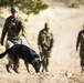 Military Working Dog Training